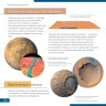 Книга знаний «Космос. Непустая пустота» 70073